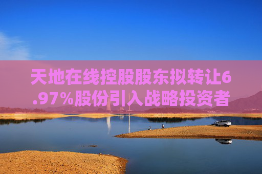 天地在線控股股東擬轉(zhuǎn)讓6.97%股份引入戰(zhàn)略投資者陵發(fā)投