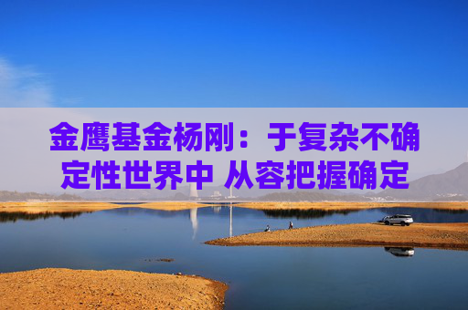 金鷹基金楊剛：于復雜不確定性世界中 從容把握確定性投資機會
