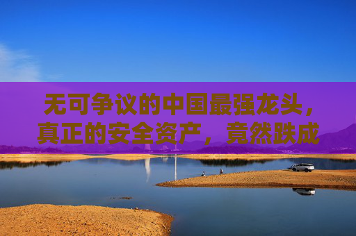 無(wú)可爭(zhēng)議的中國(guó)最強(qiáng)龍頭，真正的安全資產(chǎn)，竟然跌成了高股息股