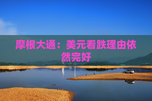 摩根大通：美元看跌理由依然完好  第1張