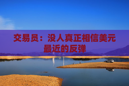 交易員：沒人真正相信美元最近的反彈  第1張