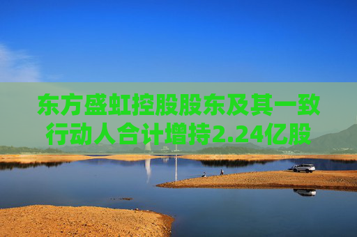 東方盛虹控股股東及其一致行動人合計增持2.24億股