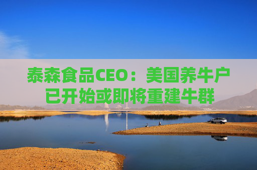 泰森食品CEO：美國養(yǎng)牛戶已開始或即將重建牛群  第1張