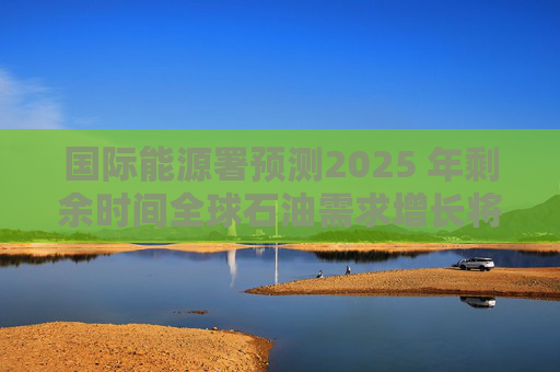 國際能源署預(yù)測2025 年剩余時(shí)間全球石油需求增長將放緩至每日65萬桶