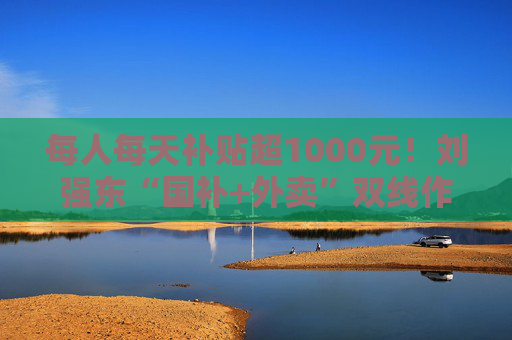 每人每天補(bǔ)貼超1000元！劉強(qiáng)東“國補(bǔ)+外賣”雙線作戰(zhàn)，“618”打響即時零售“三國殺”