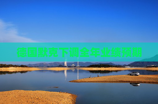 德國默克下調(diào)全年業(yè)績預期