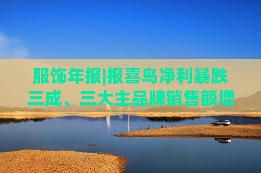 服飾年報(bào)|報(bào)喜鳥凈利暴跌三成、三大主品牌銷售額增長乏力 戰(zhàn)略擴(kuò)張與財(cái)務(wù)承壓的雙重困局