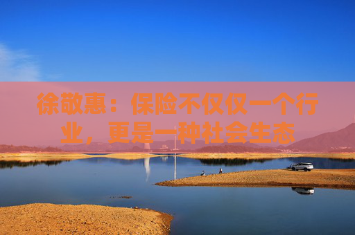 徐敬惠：保險(xiǎn)不僅僅一個(gè)行業(yè)，更是一種社會(huì)生態(tài)