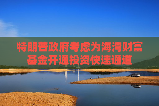 特朗普政府考慮為海灣財富基金開通投資快速通道