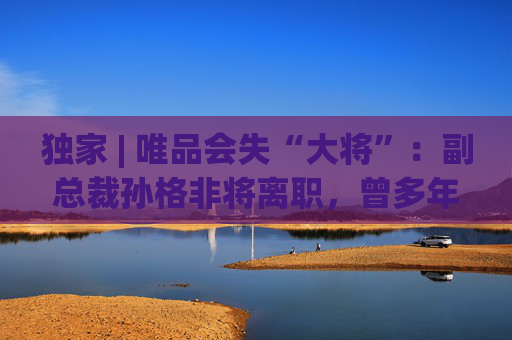 獨(dú)家 | 唯品會失“大將”：副總裁孫格非將離職，曾多年掌管商務(wù)運(yùn)營
