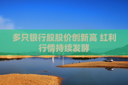 多只銀行股股價(jià)創(chuàng)新高 紅利行情持續(xù)發(fā)酵