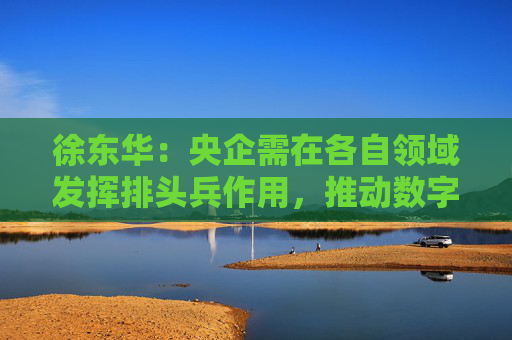 徐東華：央企需在各自領(lǐng)域發(fā)揮排頭兵作用，推動數(shù)字化轉(zhuǎn)型