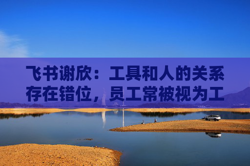 飛書謝欣：工具和人的關系存在錯位，員工常被視為工具的附屬  第1張