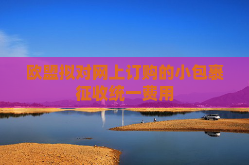 歐盟擬對(duì)網(wǎng)上訂購(gòu)的小包裹征收統(tǒng)一費(fèi)用