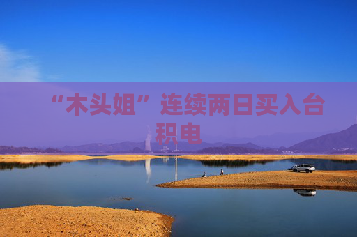 “木頭姐”連續(xù)兩日買(mǎi)入臺(tái)積電