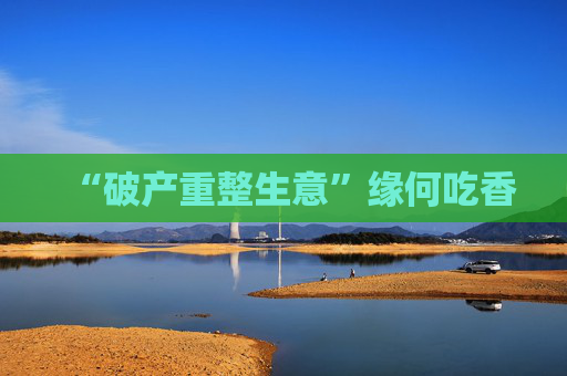 “破產(chǎn)重整生意”緣何吃香