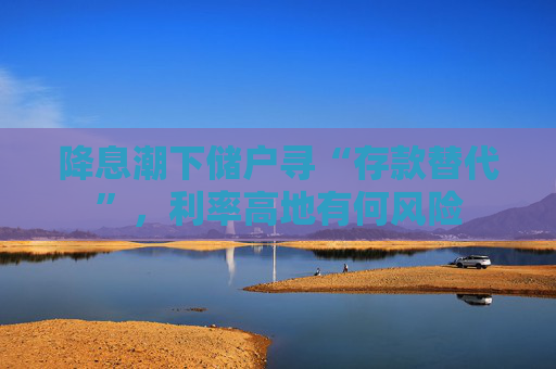 降息潮下儲戶尋“存款替代”，利率高地有何風(fēng)險(xiǎn)  第1張