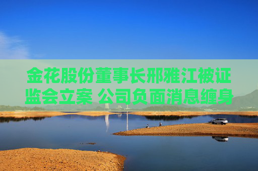 金花股份董事長(zhǎng)邢雅江被證監(jiān)會(huì)立案 公司負(fù)面消息纏身