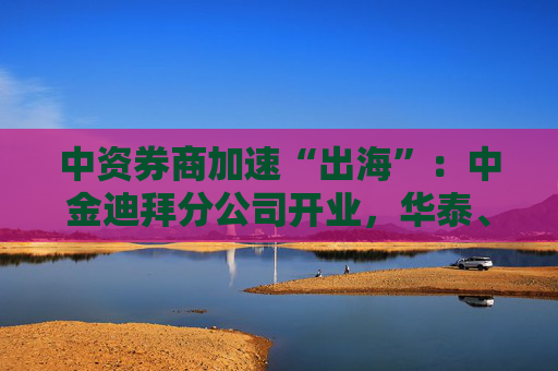 中資券商加速“出?！保褐薪鸬习莘止鹃_業(yè)，華泰、中信、國君國際業(yè)務(wù)營收增超40%