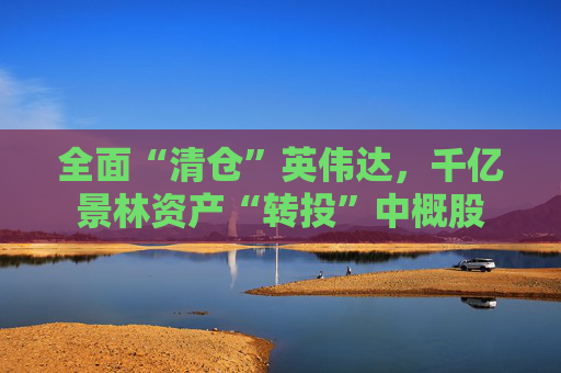 全面“清倉”英偉達(dá)，千億景林資產(chǎn)“轉(zhuǎn)投”中概股
