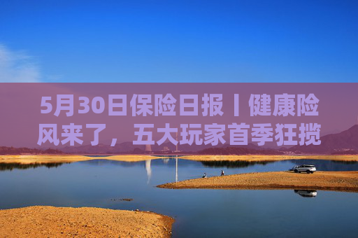 5月30日保險日報丨健康險風來了，五大玩家首季狂攬保費386億元！年內(nèi)66家險企關(guān)停近千家分支機構(gòu)