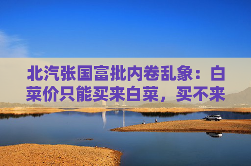 北汽張國(guó)富批內(nèi)卷亂象：白菜價(jià)只能買(mǎi)來(lái)白菜，買(mǎi)不來(lái)金絲楠木