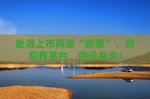 赴港上市再添“新軍”，背后有茅臺(tái)、騰訊身影！