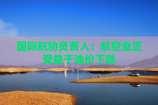 國(guó)際航協(xié)負(fù)責(zé)人：航空業(yè)正受益于油價(jià)下跌