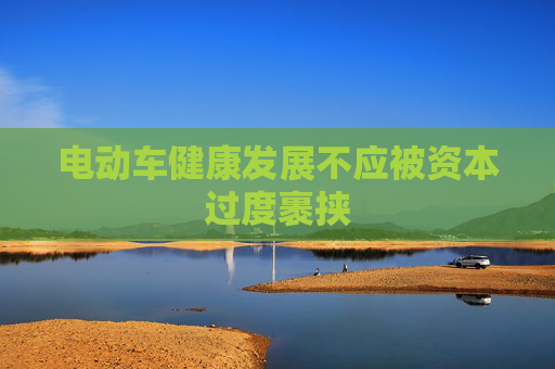 電動車健康發(fā)展不應(yīng)被資本過度裹挾  第1張