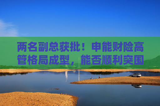兩名副總獲批！申能財險高管格局成型，能否順利突圍？