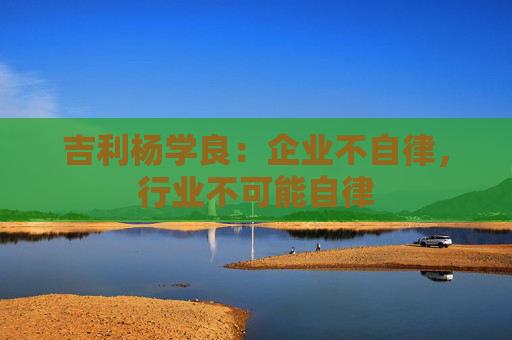 吉利楊學(xué)良：企業(yè)不自律，行業(yè)不可能自律