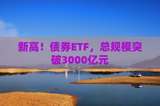 新高！債券ETF，總規(guī)模突破3000億元