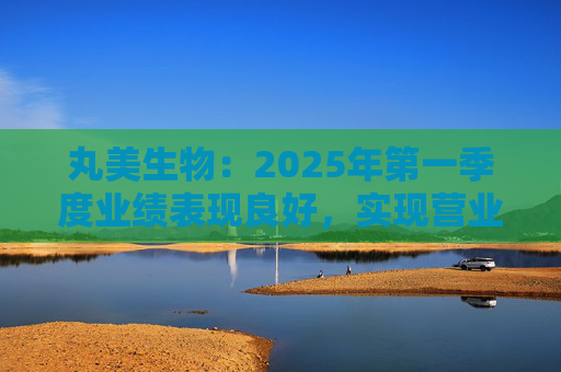 丸美生物：2025年第一季度業(yè)績表現(xiàn)良好，實現(xiàn)營業(yè)收入8.47億元