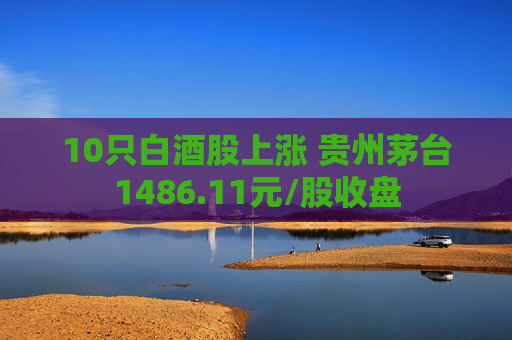 10只白酒股上漲 貴州茅臺1486.11元/股收盤