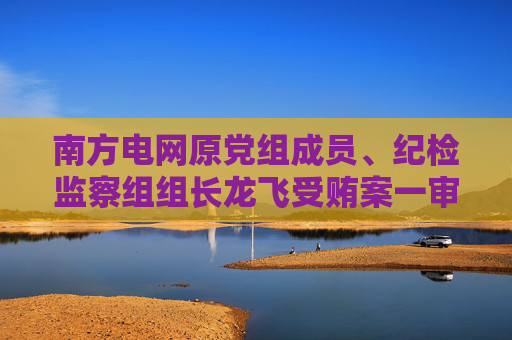 南方電網(wǎng)原黨組成員、紀(jì)檢監(jiān)察組組長龍飛受賄案一審被判7年