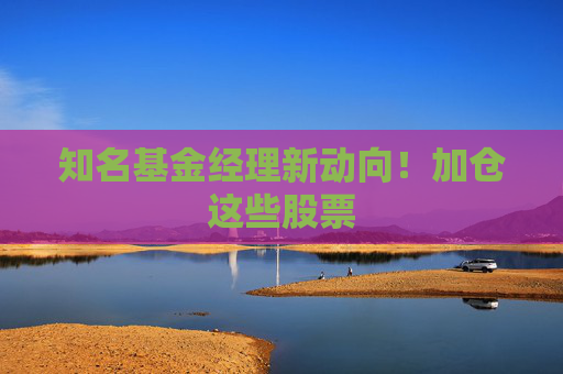 知名基金經(jīng)理新動(dòng)向！加倉這些股票