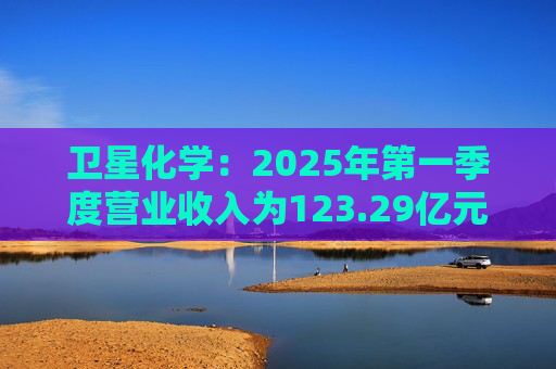 衛(wèi)星化學(xué)：2025年第一季度營業(yè)收入為123.29億元，同比增長40.03%