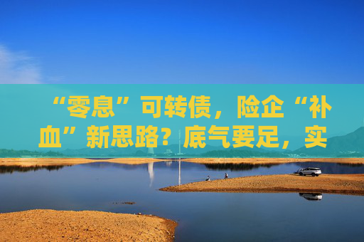 “零息”可轉(zhuǎn)債，險(xiǎn)企“補(bǔ)血”新思路？底氣要足，實(shí)力要硬！