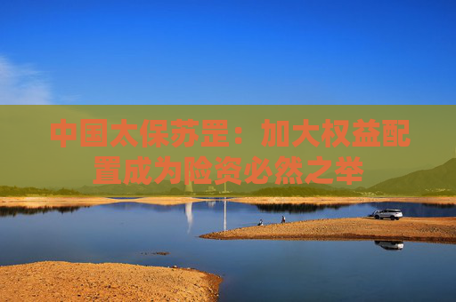 中國太保蘇罡：加大權(quán)益配置成為險資必然之舉