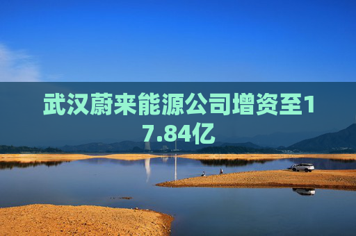武漢蔚來(lái)能源公司增資至17.84億