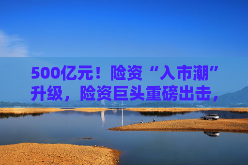 500億元！險(xiǎn)資“入市潮”升級(jí)，險(xiǎn)資巨頭重磅出擊，股權(quán)投資探索頻頻