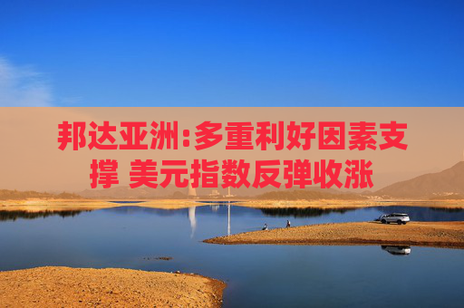 邦達(dá)亞洲:多重利好因素支撐 美元指數(shù)反彈收漲