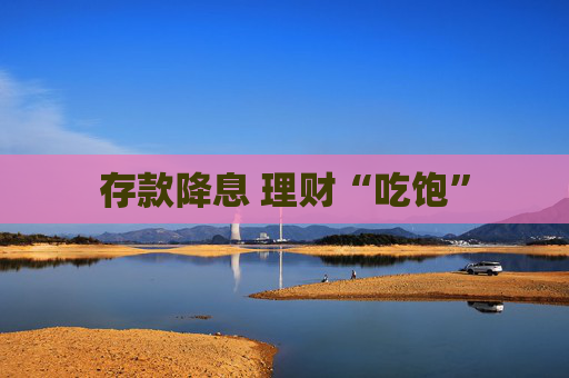 存款降息 理財(cái)“吃飽”
