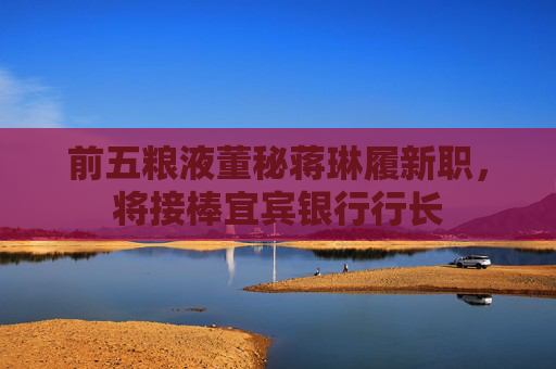 前五糧液董秘蔣琳履新職，將接棒宜賓銀行行長
