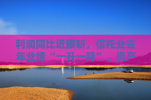 利潤同比近腰斬，信托業(yè)去年業(yè)績“一升一降”，資產(chǎn)規(guī)模創(chuàng)新高至29.56萬億元