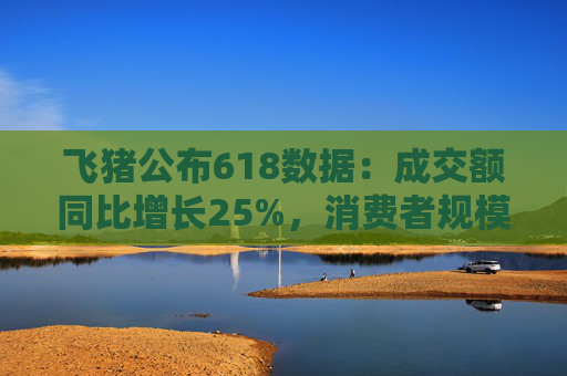飛豬公布618數(shù)據(jù)：成交額同比增長25%，消費者規(guī)模增長約30%