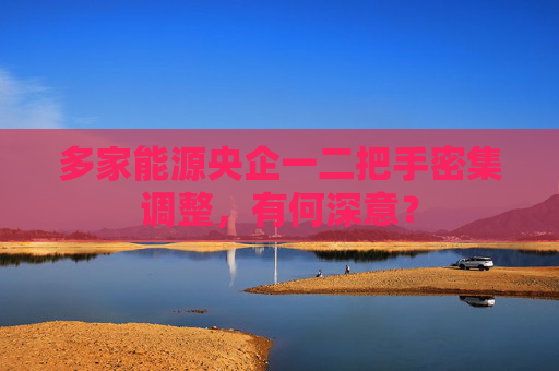 多家能源央企一二把手密集調(diào)整，有何深意？