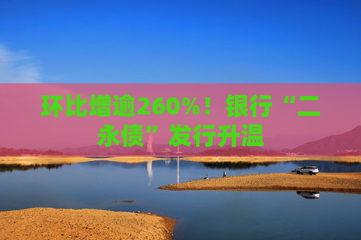 環(huán)比增逾260%！銀行“二永債”發(fā)行升溫