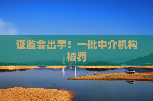 證監(jiān)會出手！一批中介機(jī)構(gòu)被罰