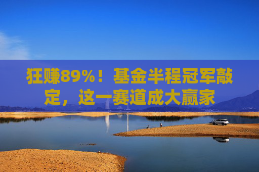 狂賺89%！基金半程冠軍敲定，這一賽道成大贏家
